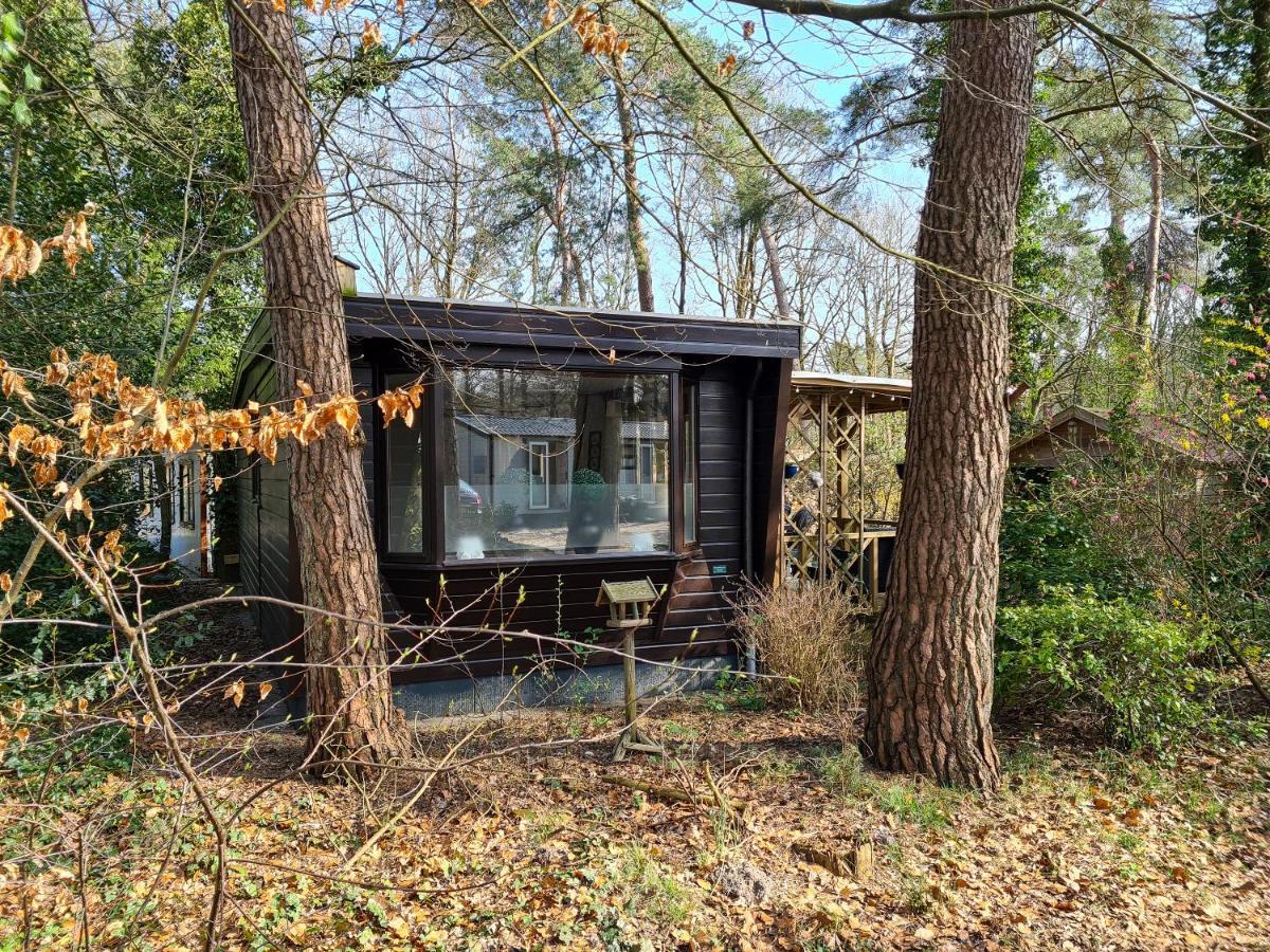 IJhorst Chalet Boslust 빌라 외부 사진