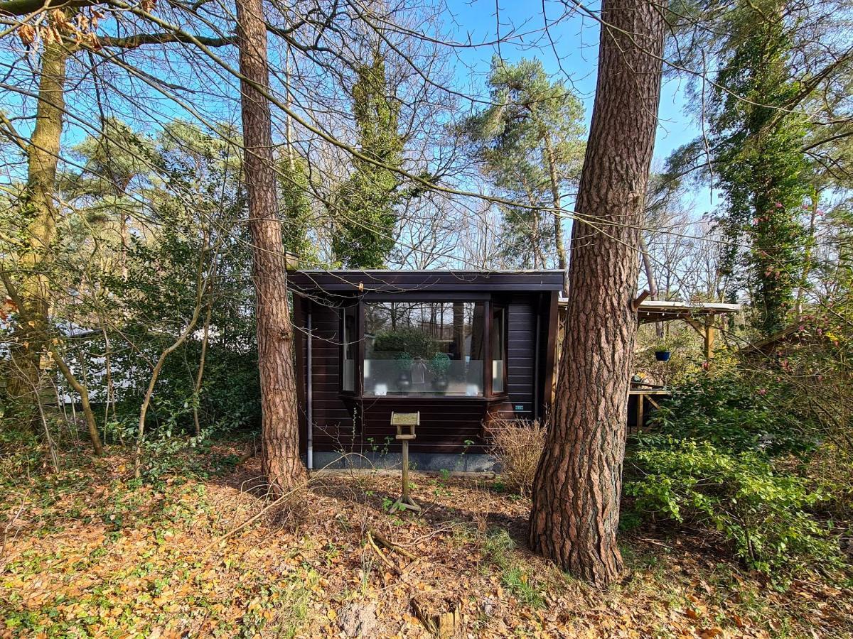 IJhorst Chalet Boslust 빌라 외부 사진