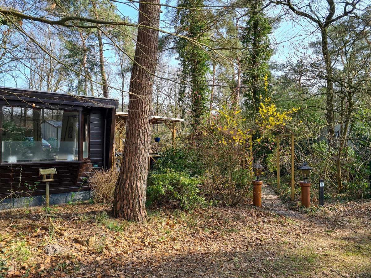 IJhorst Chalet Boslust 빌라 외부 사진